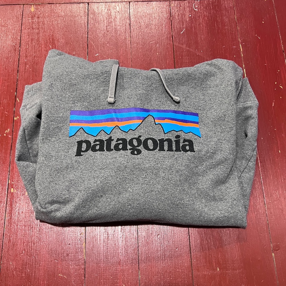 Mens S Patagonia hoodie
